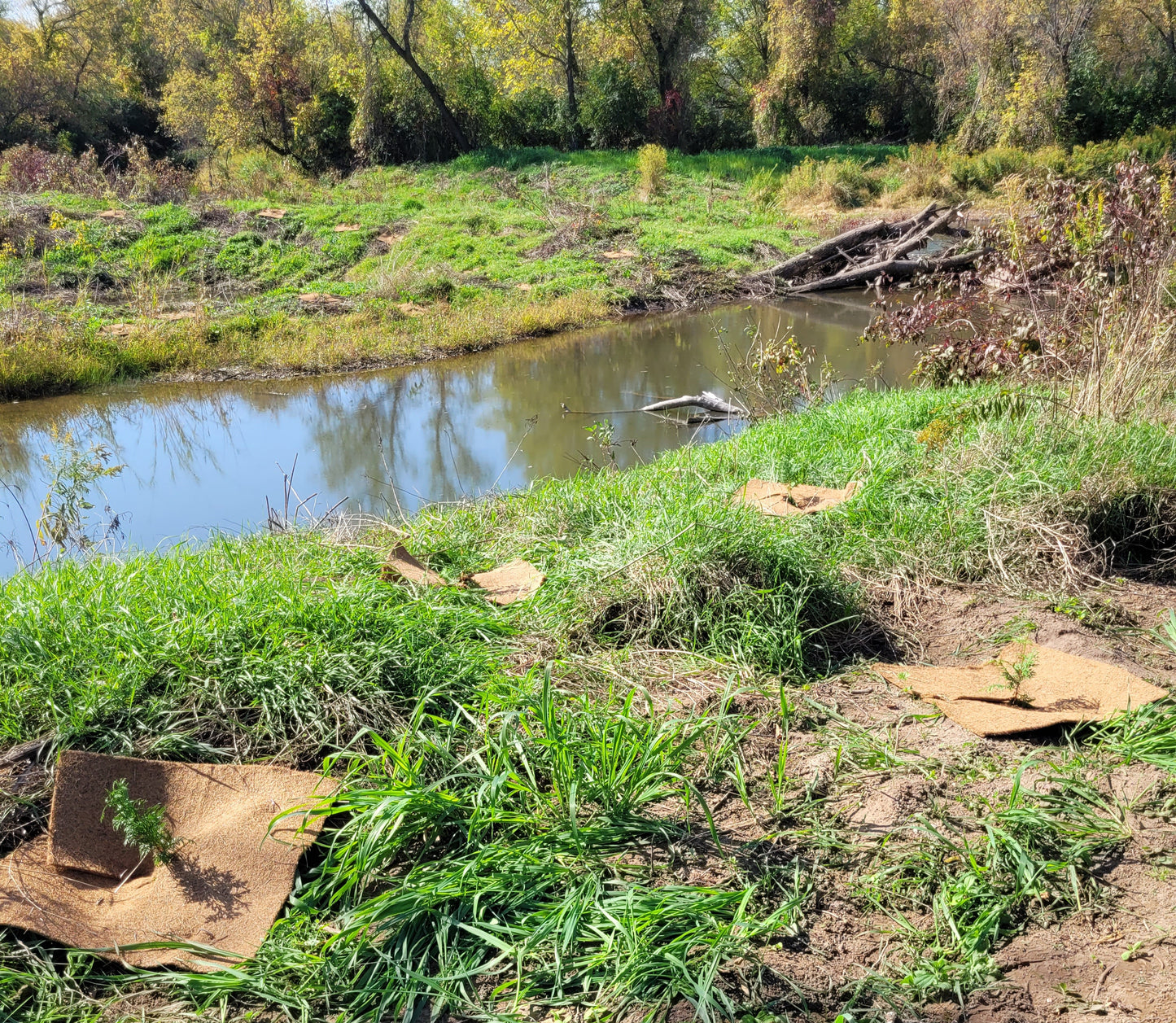 $5 Donation= 2 Trees Will Be Planted Along Nottawasaga Watershed