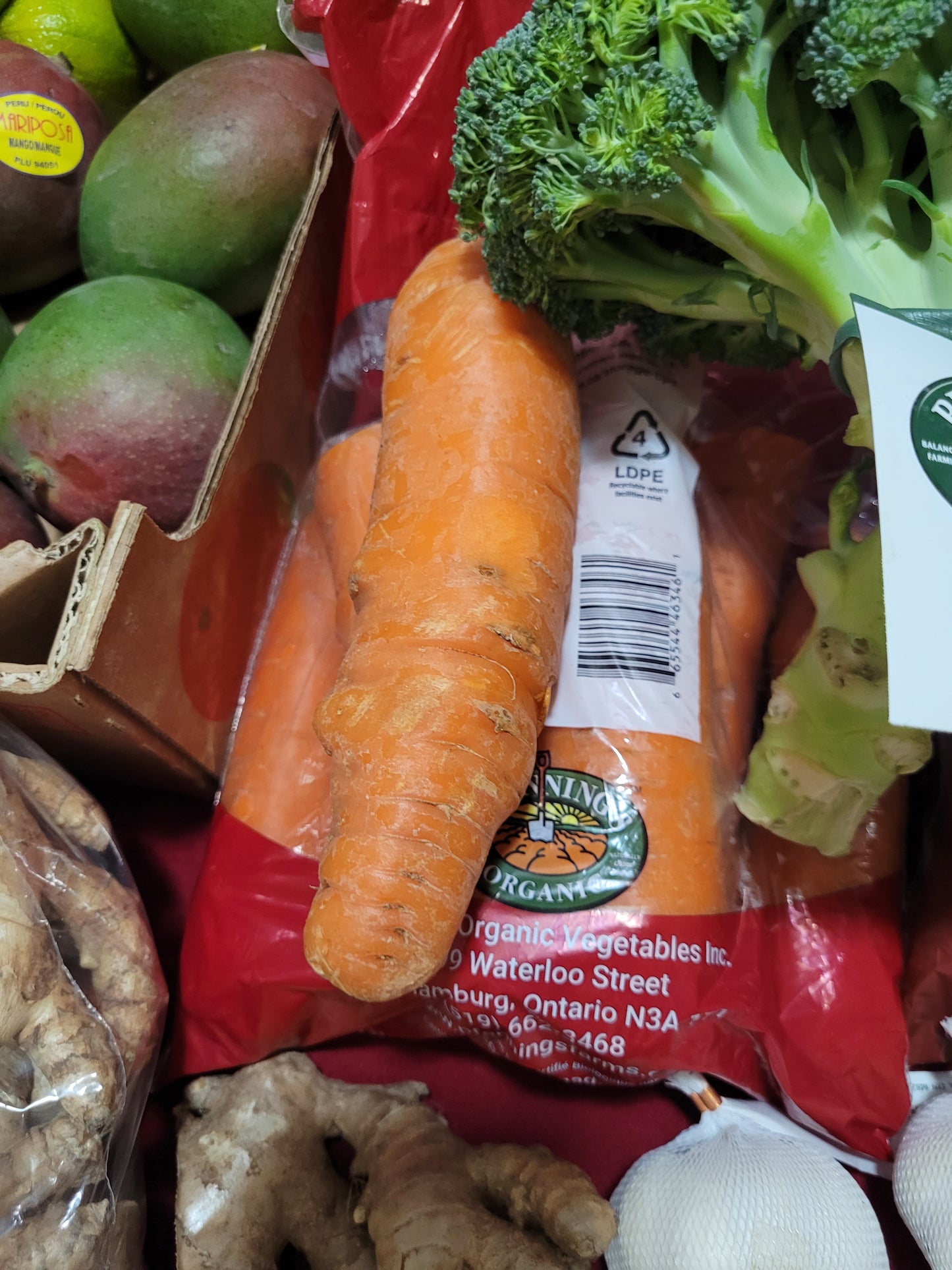 1 Big Imperfected Organic Carrot